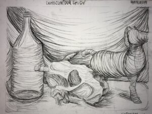 Cross contour still life study we did in class